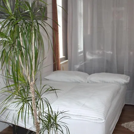 Haus - By Le Petit Palais